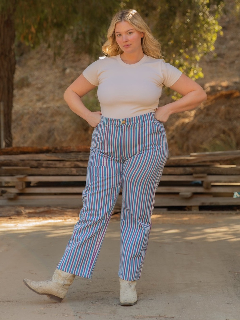 Big Bud Press Stripe Work Pants in Blue Raspberry